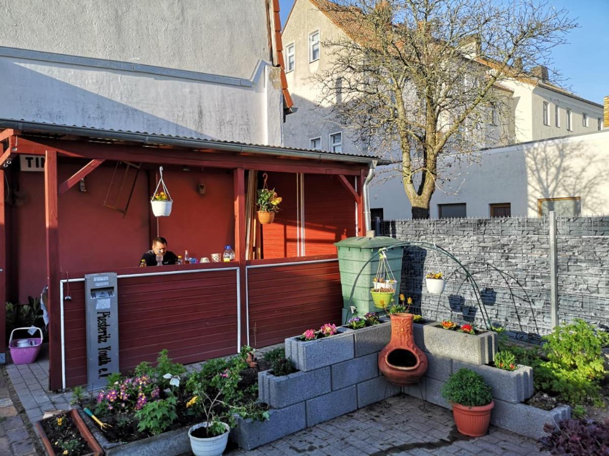 Pension Zur Gartenstadt Wittenberg Buitenkant foto
